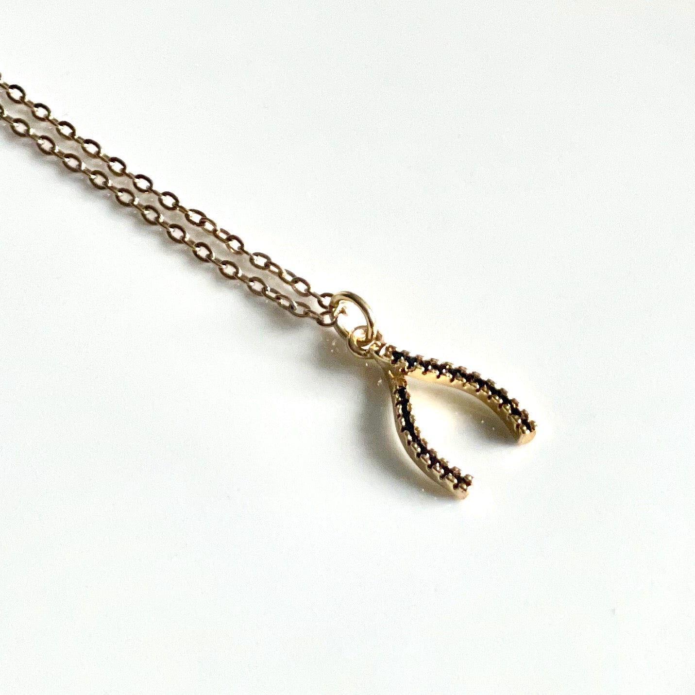 Wishbone Black Pave Charm Necklace. Glass Vial Display